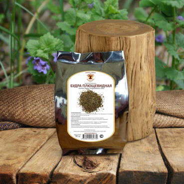 Будра плющевидная Glechoma hederacea, трава Будра плющевидная Glechoma hederacea, трава