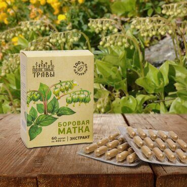 Боровая матка, растительный экстракт Боровая матка, растительный экстракт